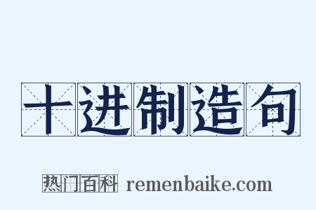 十进制造句是什么意思的图片